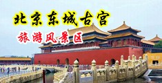 东北妇女口交黄片A中国北京-东城古宫旅游风景区